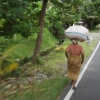Zdjęcie z Indonezji - 