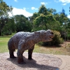 Zdjęcie z Australii - Naturalnej wielkosci 