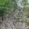 Zdjęcie z Meksyku - Coba