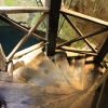Zdjęcie z Meksyku - cenote
