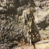 Zdjęcie z Meksyku - cenote