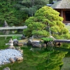 Zdjęcie z Japonii - Katsura
