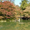 Zdjęcie z Japonii - Kyoto