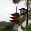 Zdjęcie z Japonii - Miyajima