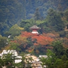 Zdjęcie z Japonii - Miyajima
