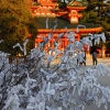 Zdjęcie z Japonii - Kyoto