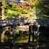 Zdjęcie z Japonii - Kyoto
