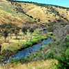 Zdjęcie z Australii - Onkaparinga River