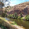 Zdjęcie z Australii - Onkaparinga River