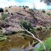 Zdjęcie z Australii - Onkaparinga River