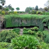 Zdjęcie z Australii - Ogrod Umpherston Sinkhole