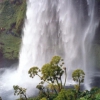 Zdjęcie z Islandii - Seljalandsfoss