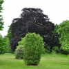 Zdjęcie z Wielkiej Brytanii - Kew Gardens