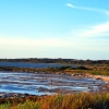 Zdjęcie z Australii - Brzegi laguny Coorong