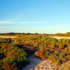 Zdjęcie z Australii - Brzegi laguny Coorong