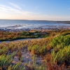 Zdjęcie z Australii - Brzegi laguny Coorong