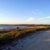 Zdjęcie z Australii - Brzegi laguny Coorong