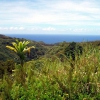 Zdjęcie ze Stanów Zjednoczonych - oahu, objazdowka