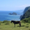 Zdjęcie ze Stanów Zjednoczonych - objazdowka po oahu