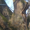 Polska - Bartków