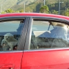 Zdjęcie z Nowej Zelandii - auto osobowe?