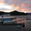 Zdjęcie z Nowej Zelandii - wieczór w Picton