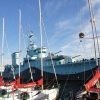Zdjęcie z Polski - ORP Błyskawica