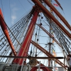 Zdjęcie z Polski - Gdynia zlot żaglowców