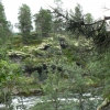 Zdjęcie z Norwegii - okolice campingu Roste