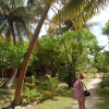 Zdjęcie z Vanuatu - 