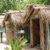 Zdjęcie z Vanuatu - 
