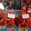 Zdjęcie z Vanuatu - 