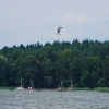 Zdjęcie z Polski - Rybitwa nad Sawinda
