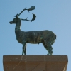 Zdjęcie z Grecji - Posąg jelenia