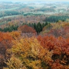 Zdjęcie z Polski - Panorama z Wieżycy