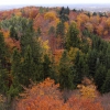 Zdjęcie z Polski - Panorama z Wieżycy