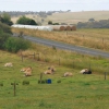 Zdjęcie z Australii - Wiejskie widoczki