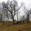 Zdjęcie z Estonii - Widoczek