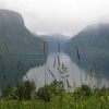 Zdjęcie z Norwegii - Sognefjord