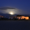 Zdjęcie z Tunezji - Nowy Hammamet