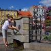 Zdjęcie z Polski - Rynek Gnieźnieński