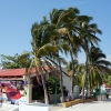 Zdjęcie z Meksyku - HUATULCO