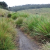 Zdjęcie ze Sri Lanki - Horton Plains