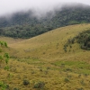 Zdjęcie ze Sri Lanki - Horton Plains