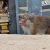 Zdjęcie ze Sri Lanki - 