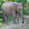 Zdjęcie ze Sri Lanki - Park Narodowy Yala