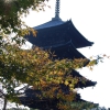 Zdjęcie z Japonii - Pagoda Toji