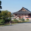 Zdjęcie z Japonii - Świątynia Toji
