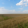 Zdjęcie z Polski - Łan
