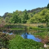 Australia - Mount Lofty Gardens